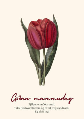 Kort til Mammudagin