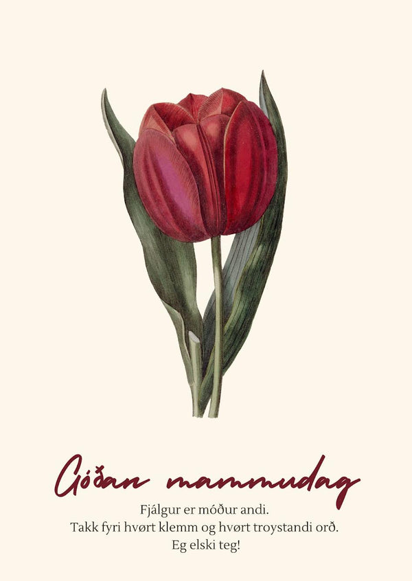 Kort til Mammudagin