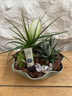 Samanplanting
