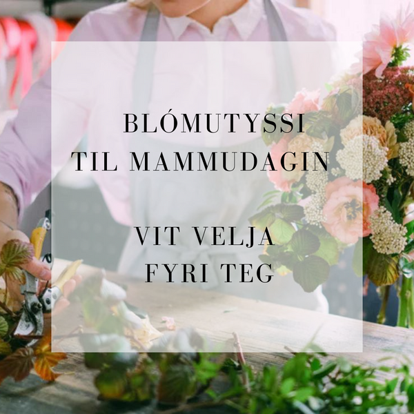 Mammudags blómutyssi - Stór