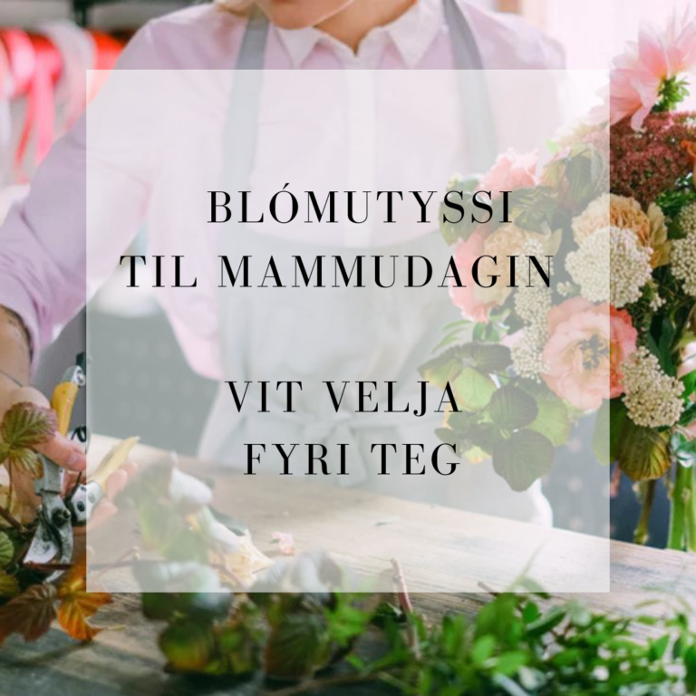 Mammudags blómutyssi – Lítið